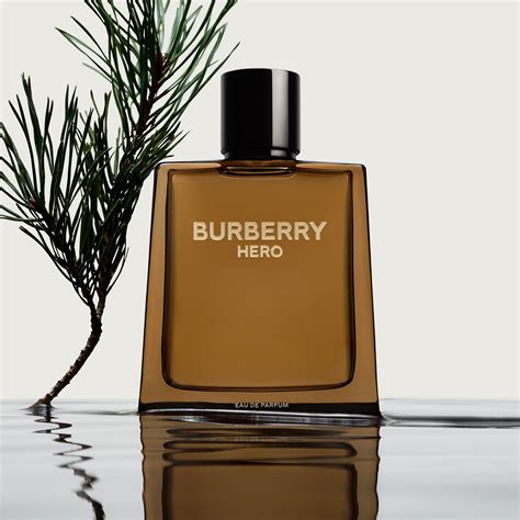 burberry signature fragrance|best Burberry fragrance for men.